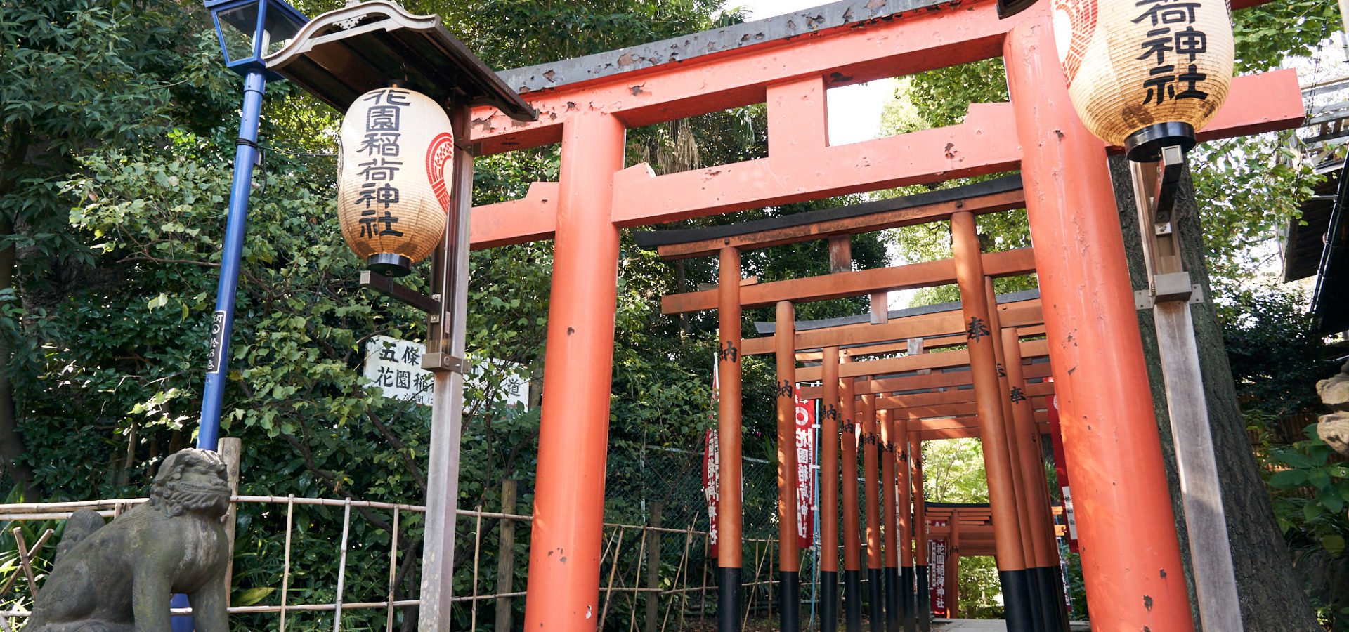 上野通になれる！ 公園をディープにめぐる30分のミニツアー開催