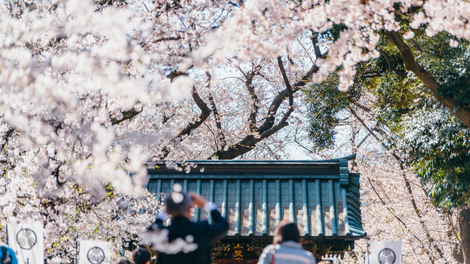 Ueno, the place to go to sense the four seasons through cherry blossoms, plum blossoms, cultural events and more.