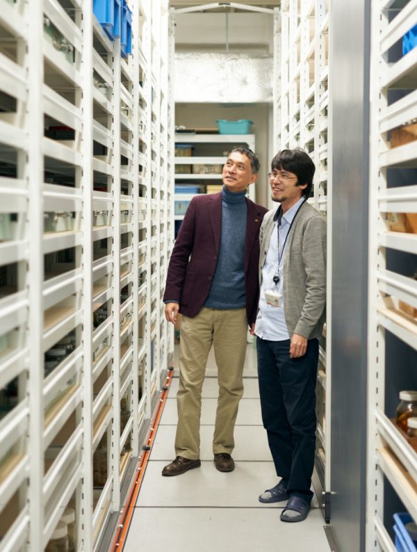 Behind the Scenes at the National Museum of Nature and Science: Essayist Tamaki Miyata in Conversation with Crab Taxonomist Hironori Komatsu (Part 2/2)